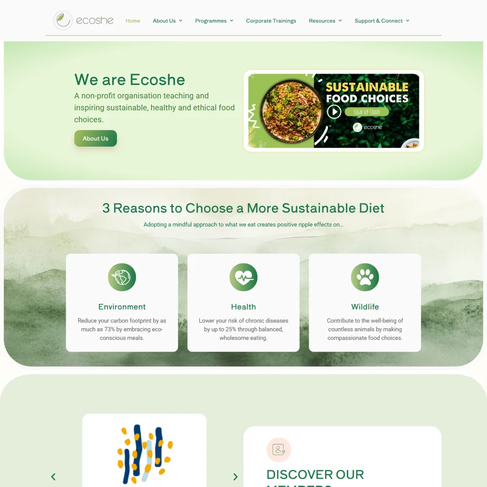Ecoshe